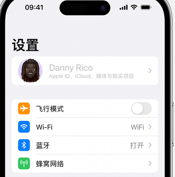 拉萨appleID维修服务iPhone设置中Apple ID显示为灰色无法使用