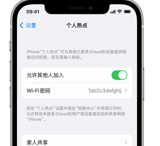 拉萨apple服务站点分享iPhone上个人热点丢失了怎么办 