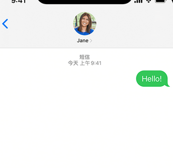 拉萨apple维修iPhone上无法正常发送iMessage信息