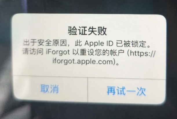 拉萨iPhone维修分享iPhone上正常登录或使用AppleID怎么办 