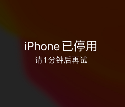 拉萨苹果手机维修分享:iPhone 显示“不可用”或“已停用”怎么办？还能保留数据吗？ 