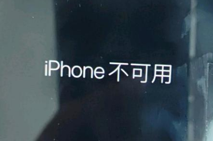 拉萨苹果服务网点分享锁屏界面显示“iPhone 不可用”如何解决 