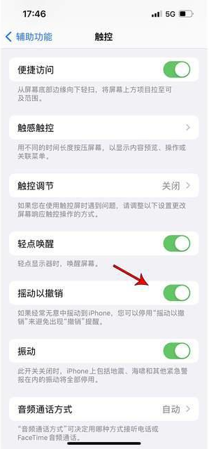 拉萨苹果手机维修分享iPhone手机如何设置摇一摇删除文字 