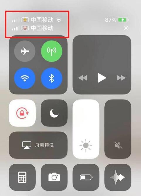 拉萨苹果手机维修分享为 iPhone 12 双卡设置标签 