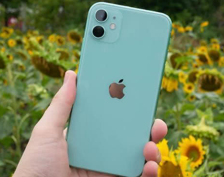 拉萨苹果维修点分享iPhone 11锁屏密码认知与使用科普 