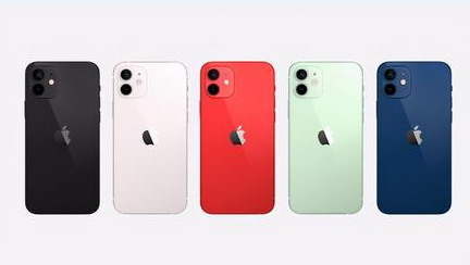 拉萨苹果维修点分享iPhone 12锁屏密码系统机制科普 