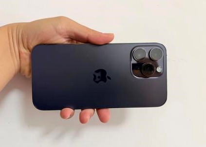 拉萨苹果维修点分享iPhone 14 Pro Max黑屏少见故障盘点 